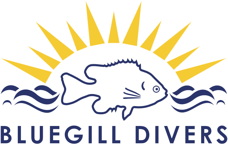Bluegill Divers
